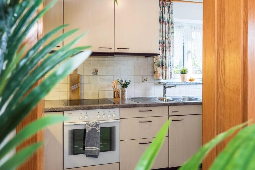 Ferienwohnung Julija Riedheim Hilzingen Ngoại thất bức ảnh